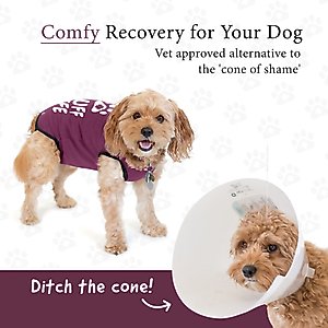 BellyGuard Recovery Suit Post-Surgery Dog Onesie, Maroon, Small