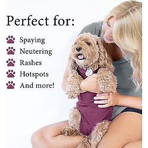 BellyGuard Recovery Suit Post-Surgery Dog Onesie, Maroon, Small