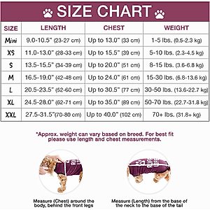 BellyGuard Recovery Suit Post-Surgery Dog Onesie, Maroon, Small