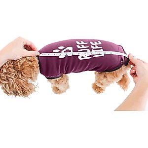 BellyGuard Recovery Suit Post-Surgery Dog Onesie, Maroon, Small