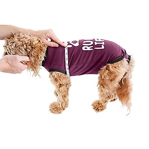 BellyGuard Recovery Suit Post-Surgery Dog Onesie, Maroon, Small