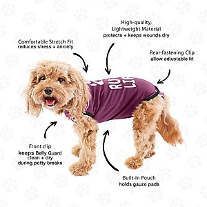 BellyGuard Recovery Suit Post-Surgery Dog Onesie, Maroon, Small