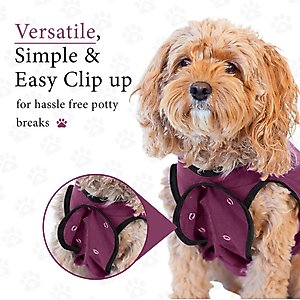 BellyGuard Recovery Suit Post-Surgery Dog Onesie, Maroon, Small