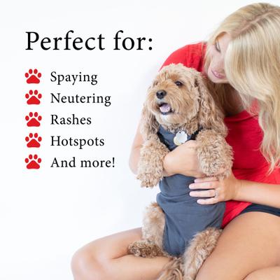 Show full view: BellyGuard Recovery Suit Post-Surgery Dog Onesie, Grey, Mini slide 4 of 10