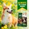 Show in main carousel: Beloved Pets Calcium Bones Wrapped Chicken & Rawhide-Free Natural Grain-Free Meat with Chicken Dog Treats, 10.6-oz bag slide 7 of 10