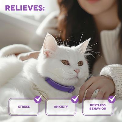 Show full view: Beloved Pets Calming Collar & Anti Anxiety Products Feline Calm Pheromones Collar & Coat Stress Relief Relaxing Comfort Helps with Pee New Zone Aggression & Other Behavior Calming Collar for Cats, 2 count slide 4 of 9