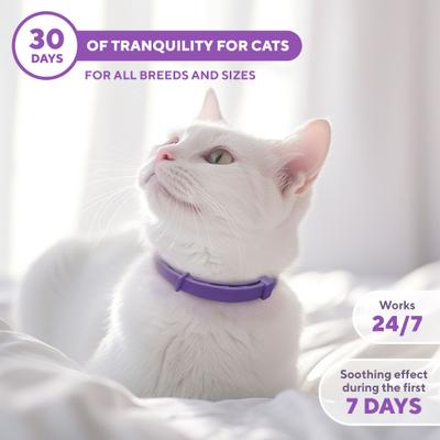 Show full view: Beloved Pets Calming Collar & Anti Anxiety Products Feline Calm Pheromones Collar & Coat Stress Relief Relaxing Comfort Helps with Pee New Zone Aggression & Other Behavior Calming Collar for Cats, 2 count slide 6 of 9