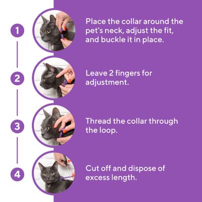 Show full view: Beloved Pets Calming Collar & Anti Anxiety Products Feline Calm Pheromones Collar & Coat Stress Relief Relaxing Comfort Helps with Pee New Zone Aggression & Other Behavior Calming Collar for Cats, 2 count slide 8 of 9
