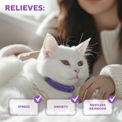 Beloved Pets Calming Collar & Anti Anxiety Products Feline Calm Pheromones Collar & Coat Stress Relief Relaxing Comfort Helps with Pee New Zone Aggression & Other Behavior Calming Collar for Cats slide 2 of 7