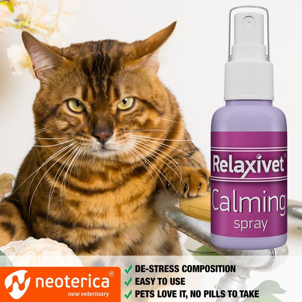 Beloved Pets Calming Pheromone Spray & Scratch Repellent for Cats, 1.5-oz bottle