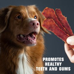 Beloved Pets Duck Breast Human Grade Grain-Free Jerky Dog Treats, 1.5-lb bag slide 2 of 6