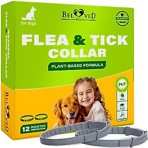 Beloved Pets Natural Flea & Tick Collar for Dogs, 2 count
