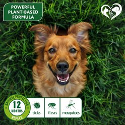 Beloved Pets Natural Flea & Tick Collar for Dogs, 2 count slide 2 of 8