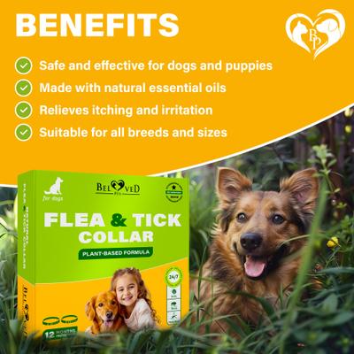 Show full view: Beloved Pets Natural Flea & Tick Collar for Dogs, 2 count slide 4 of 9