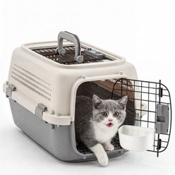 Bencmate Hard-Sided Travel Crate Ventilated Design Carry-Handle Purse Dog & Cat Carrier, 22.44 x 14.57 x 12.99-in, Grey