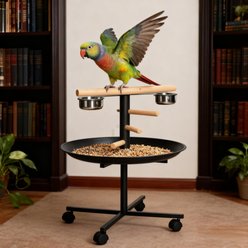 Bencmate Portable Bird Feeder Station with Wheels, 4 Perches, Stainless Steel Bowls & Mess-Containing Tray, Grey, 23.5 x 23.5 x 43.8-in