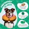 Show in main carousel: Bencmate Protective Inflatable Soft Pet Recovery Does Not Block Vision Recovery Collar for Dogs & Cats, Donut-Strawberry, Small slide 5 of 9