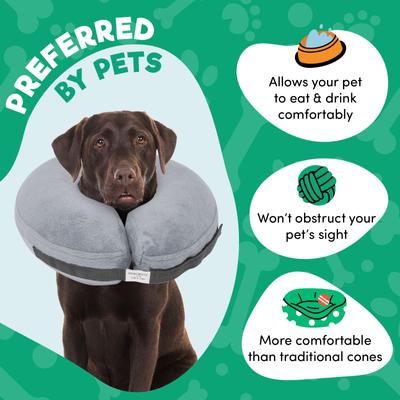 Show full view: Bencmate Protective Inflatable Soft Pet Recovery Does Not Block Vision Recovery Collar for Dogs & Cats, Grey, Small slide 5 of 9