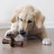 Show in main carousel: Benebone 2-Pack Maplestick Zaggler Dog Chew Toy, Small slide 6 of 10
