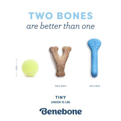 Show full view: Benebone 2-Pack Rubber Bone/Wishbone Bacon Puppy Chew Toy slide 6 of 9
