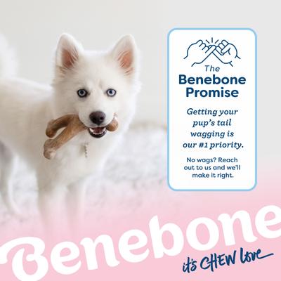 Show full view: Benebone 2-Pack Rubber Bone/Wishbone Bacon Puppy Chew Toy slide 8 of 9