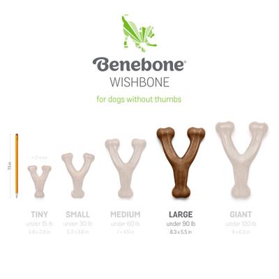 Show full view: Benebone 2-Pack Wishbone Fishbone Dog Chew Toy, Large slide 7 of 10
