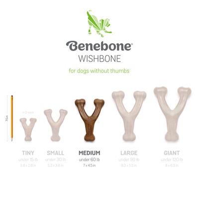 Show full view: Benebone 2-Pack Wishbone Fishbone Dog Chew Toy, Medium slide 7 of 10