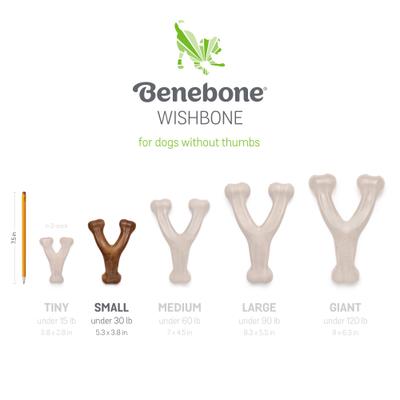 Show full view: Benebone 2-Pack Wishbone Fishbone Dog Chew Toy, Small slide 7 of 10