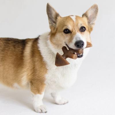 Show full view: Benebone 2-Pack Wishbone Fishbone Dog Chew Toy, Small slide 3 of 10