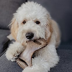 Benebone Bacon Flavor Dental Tough Dog Chew Toy, Medium slide 2 of 6