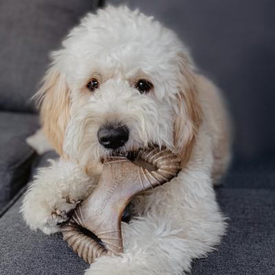 Show full view: Benebone Bacon Flavor Dental Tough Dog Chew Toy, Medium slide 2 of 9