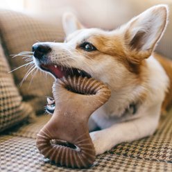 Benebone Bacon Flavor Dental Tough Dog Chew Toy, Small slide 2 of 6