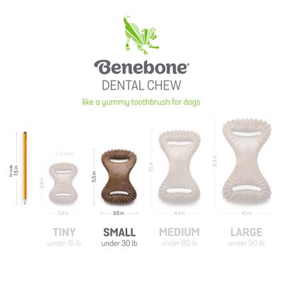 Show full view: Benebone Bacon Flavor Dental Tough Dog Chew Toy, Small slide 6 of 9