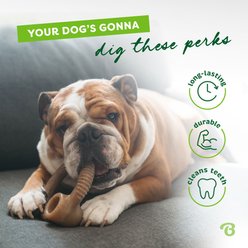 Benebone Bacon Flavor Ring Tough Dog Chew Toy, Large slide 2 of 7