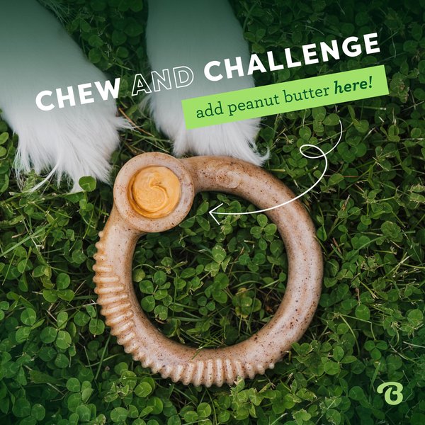 Show full view: Benebone Bacon Flavor Ring Tough Dog Chew Toy, Small slide 6 of 9