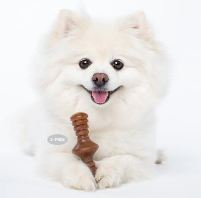 Show full view: Benebone Bacon Flavor Tough Dog Chew Toy, Tiny, 2 count slide 3 of 11