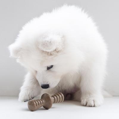 Show full view: Benebone Bacon Flavor Tough Puppy Chew Toy, 2 count slide 2 of 9