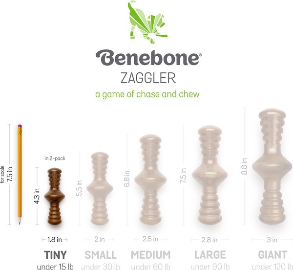 Show full view: Benebone Bacon Flavor Tough Puppy Chew Toy, 2 count slide 6 of 9