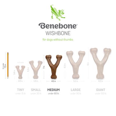 Show full view: Benebone Bacon Flavor Wishbone Tough Chew Toy, Medium + Dental Tough Dog Chew Toy, Medium slide 5 of 10