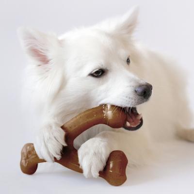 Show full view: Benebone Bacon Flavor Wishbone Tough Dog Chew Toy, Medium slide 2 of 9