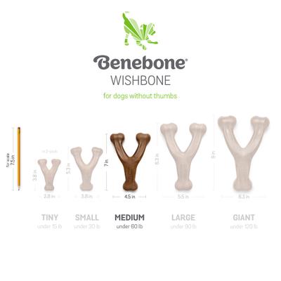 Show full view: Benebone Bacon Flavor Wishbone Tough Dog Chew Toy, Medium slide 6 of 9