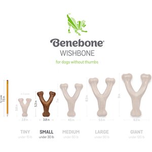 Benebone Bacon Flavor Wishbone Tough Dog Chew Toy, Small