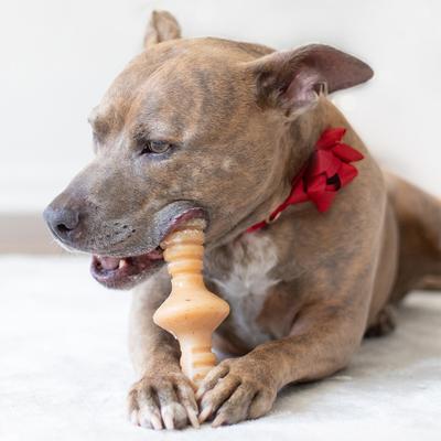 Show full view: Benebone Bacon Flavor Zaggler Tough Dog Chew Toy, Medium slide 6 of 10