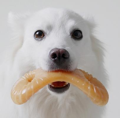 Show full view: Benebone Chicken Flavor Dental Tough Dog Chew Toy, Small slide 2 of 9