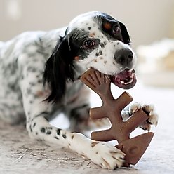 Benebone Fishbone Dog Chew Toy, Brown, Giant slide 2 of 6