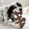 Show in main carousel: Benebone Fishbone Dog Chew Toy, Brown, Giant slide 2 of 8