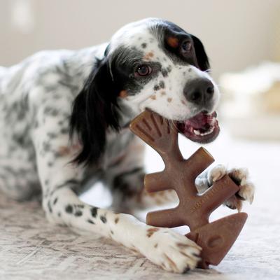 Show full view: Benebone Fishbone Dog Chew Toy, Brown, Giant slide 2 of 8