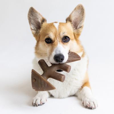 Show full view: Benebone Fishbone Dog Chew Toy, Medium slide 2 of 7