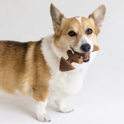 Benebone Fishbone Dog Chew Toy, Small slide 2 of 6