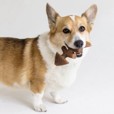 Show full view: Benebone Fishbone Dog Chew Toy, Small slide 2 of 7